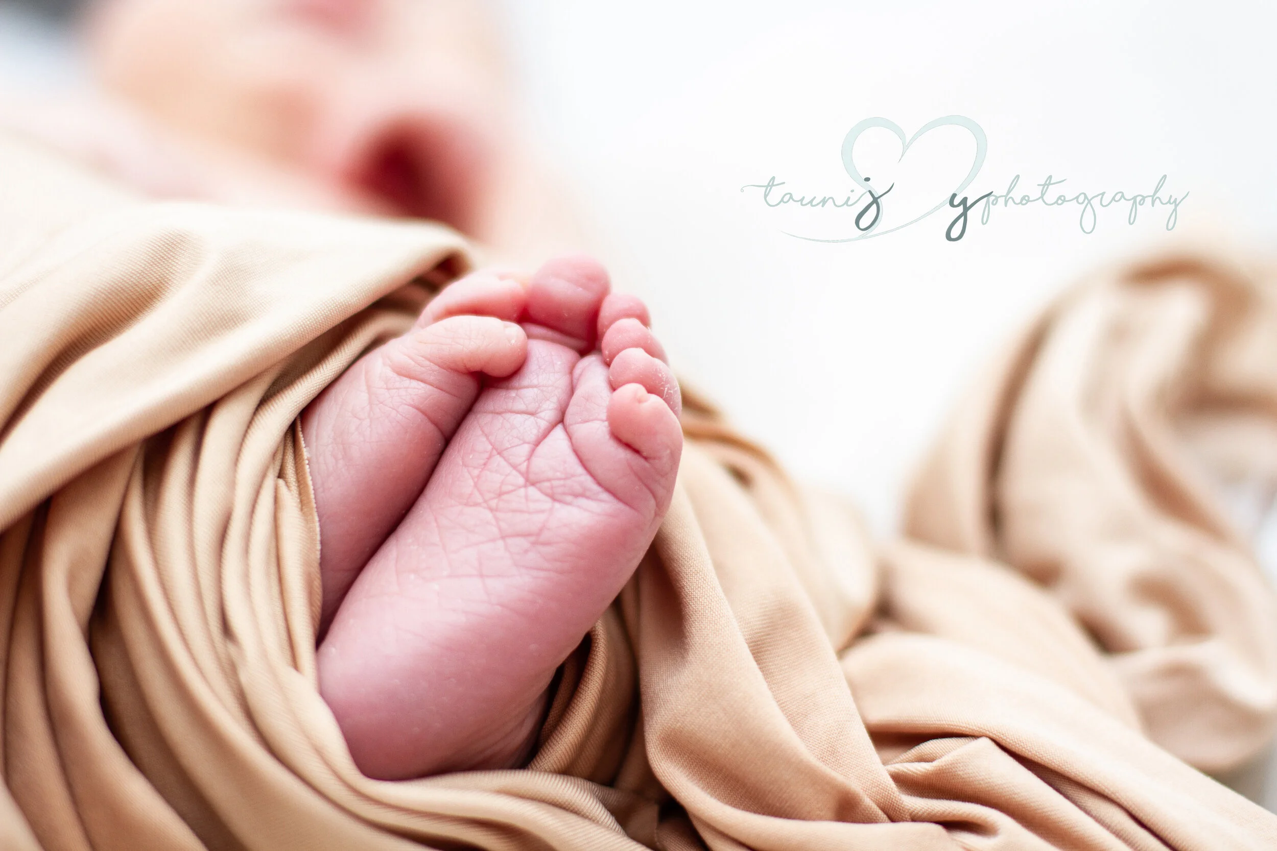 austin newborn photographer