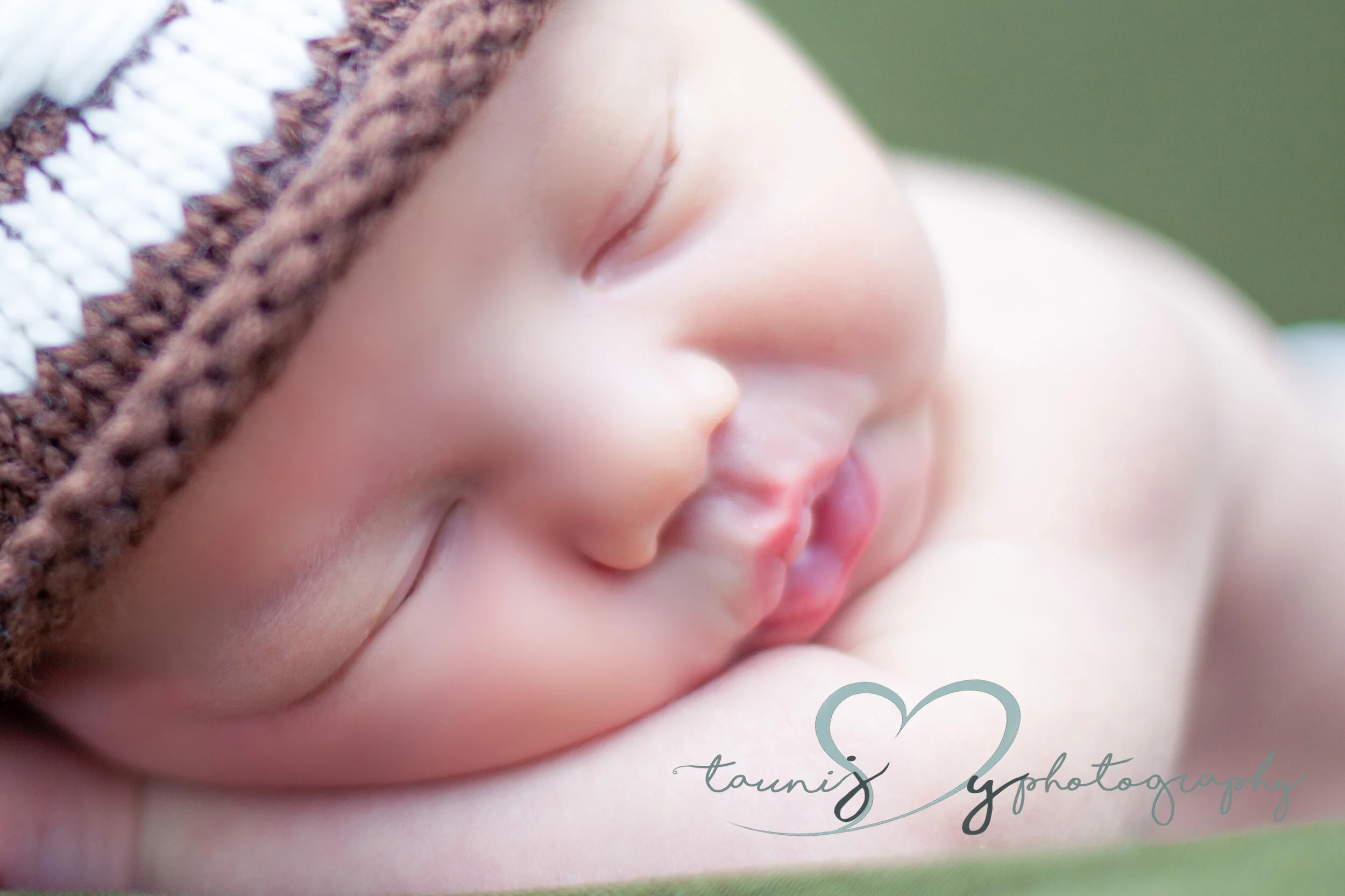 north austin newborn photographer