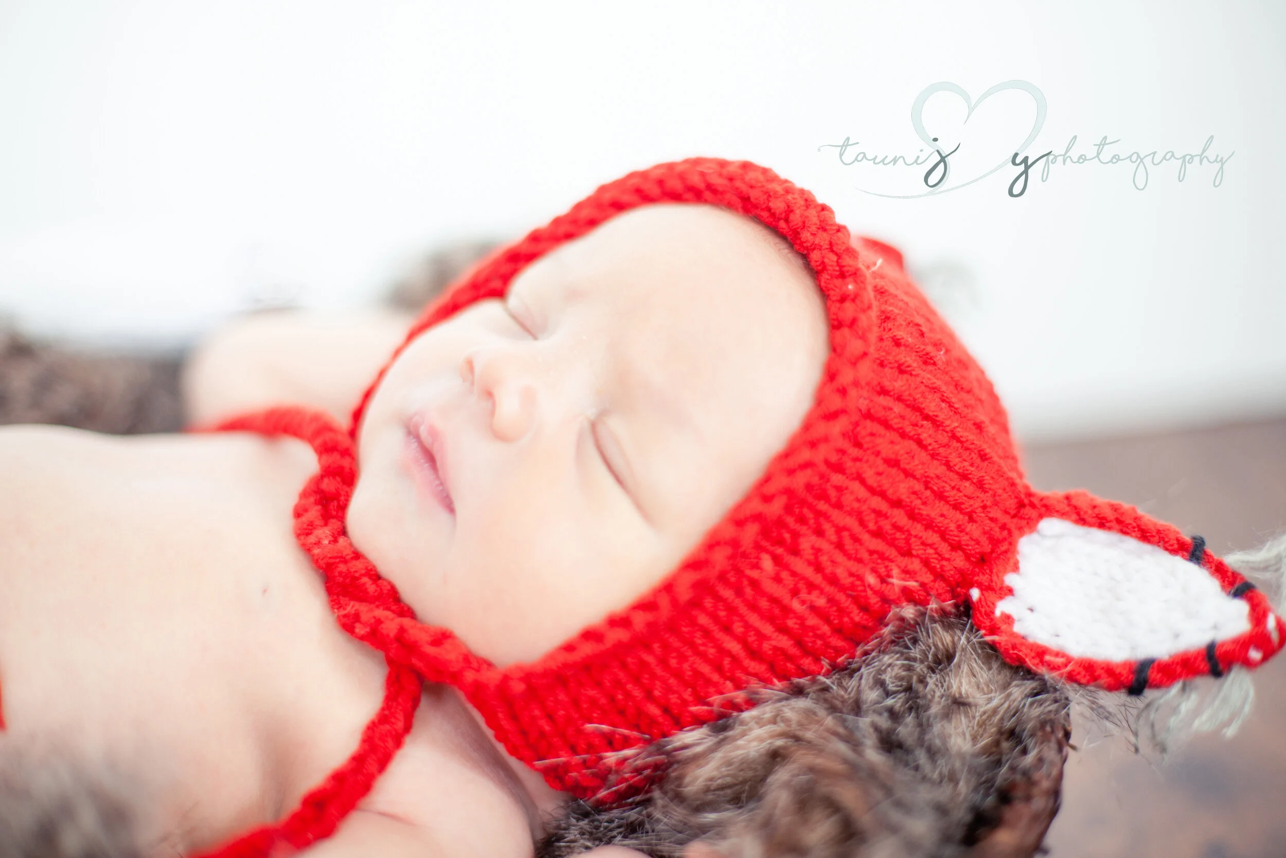 newborn fox photography austin