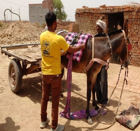 Keen distribution at brick kiln 2.jpg