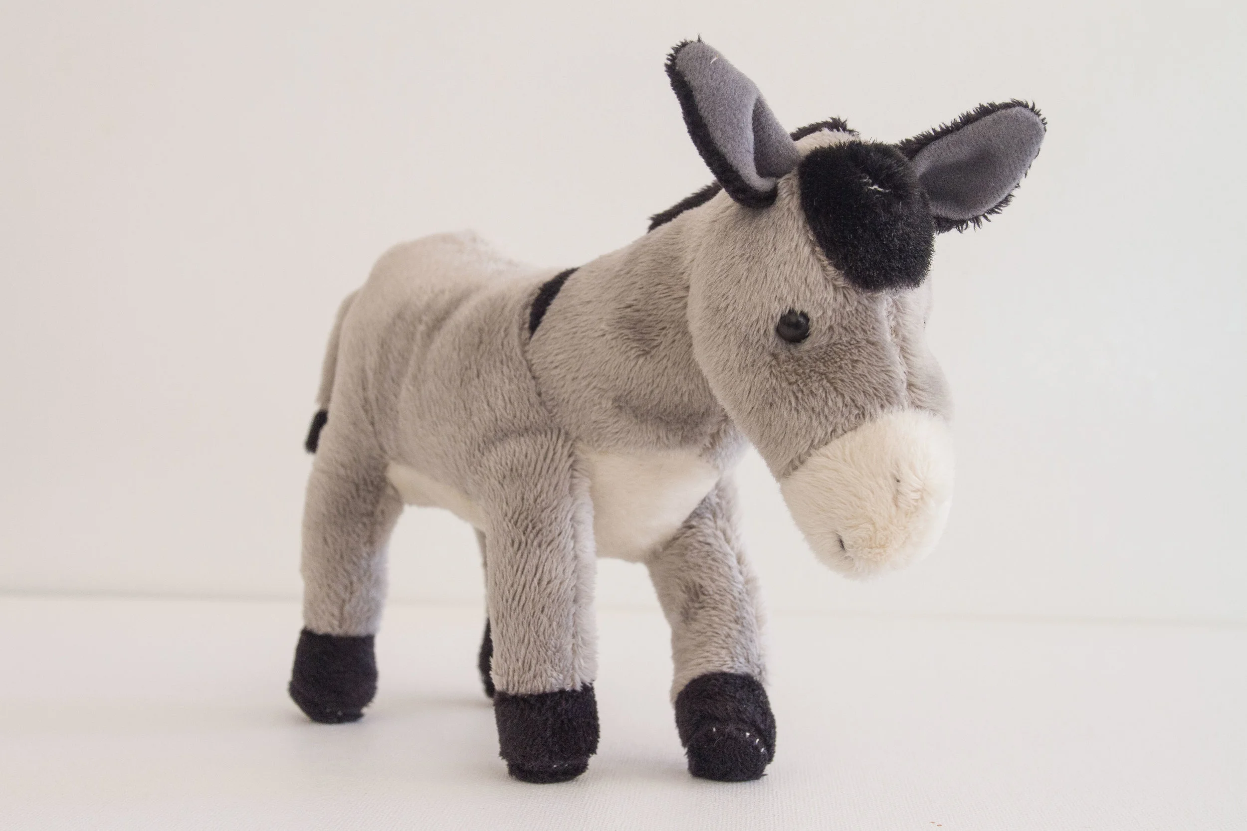 _MG_0585donkey-web-.jpg