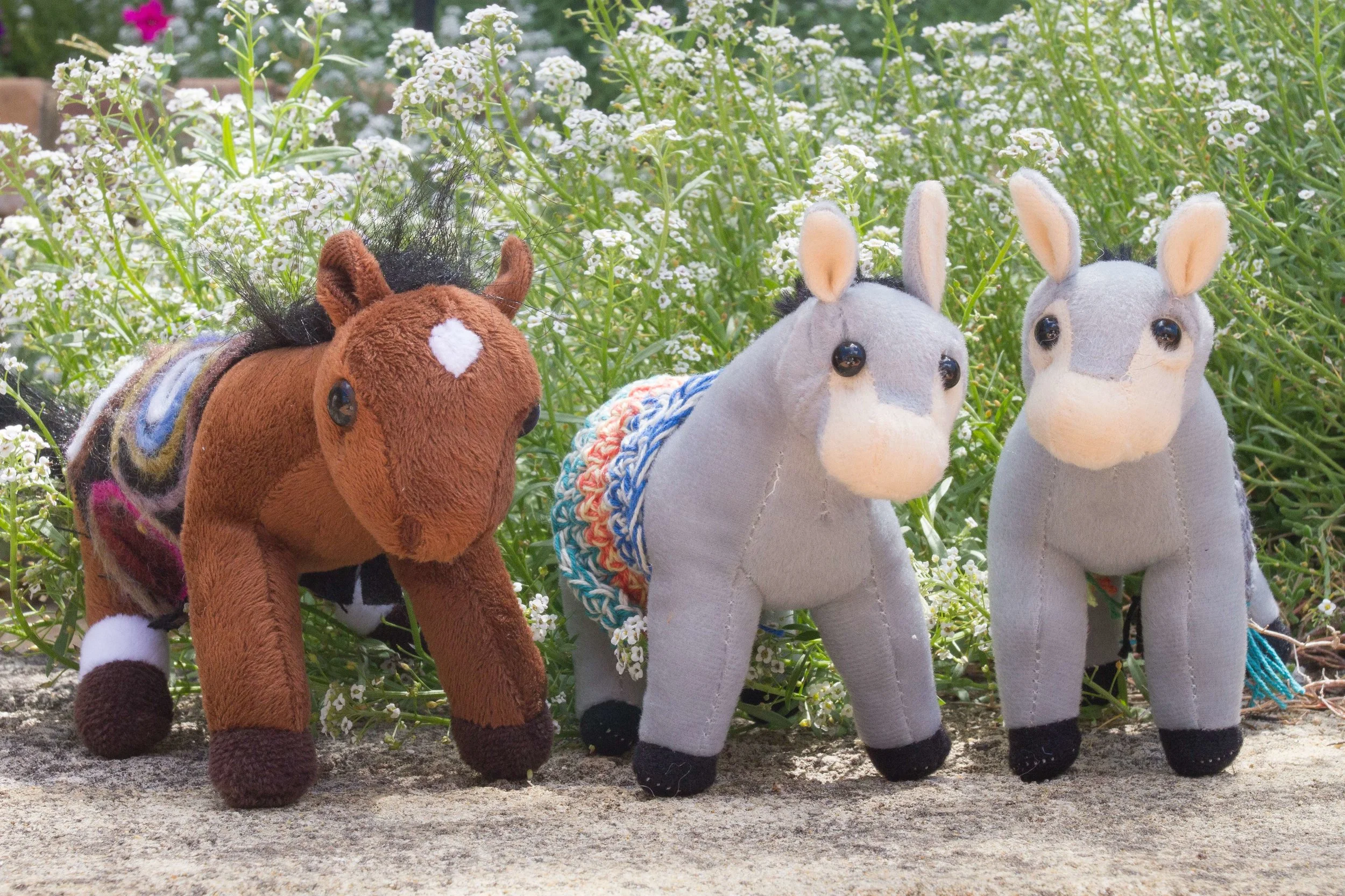_MG_0567-wonky-donks-in-garden-web.jpg