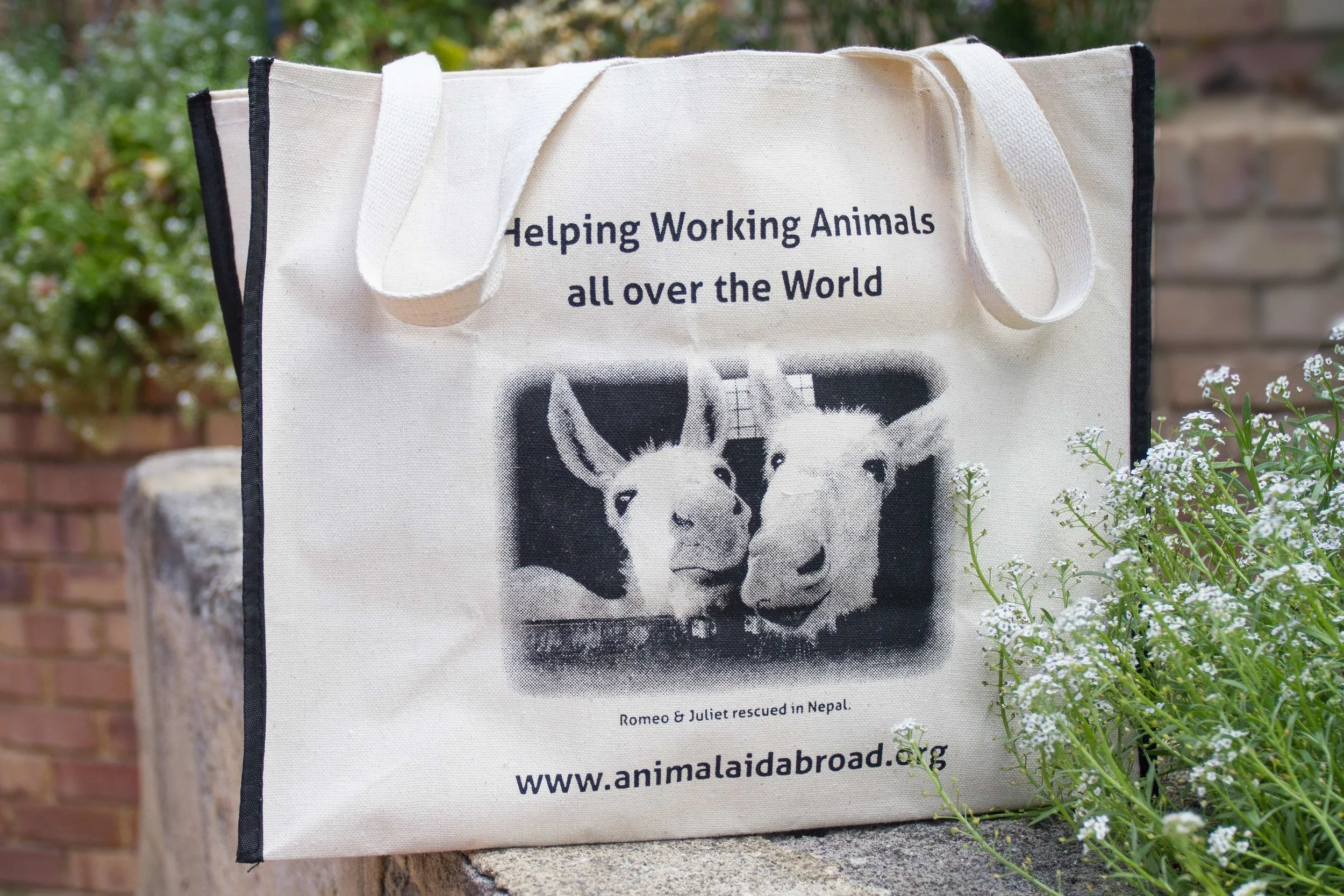 Canvas Bag - Romeo and Juliet