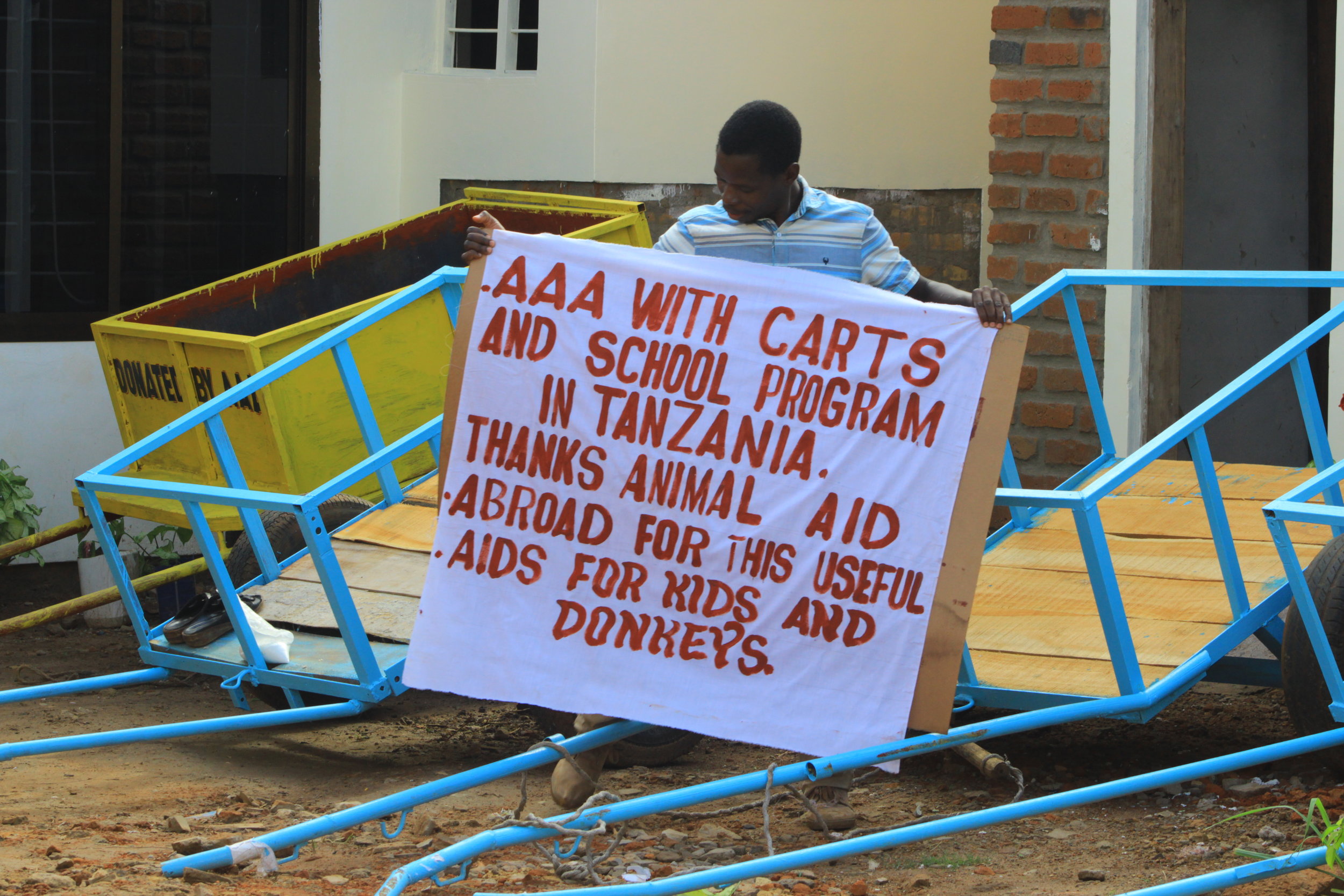 Signage with carts 1.jpg