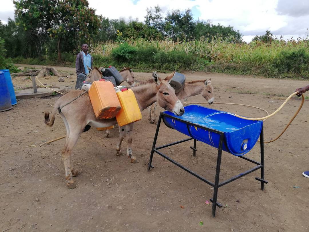 water troughs 2.jpg