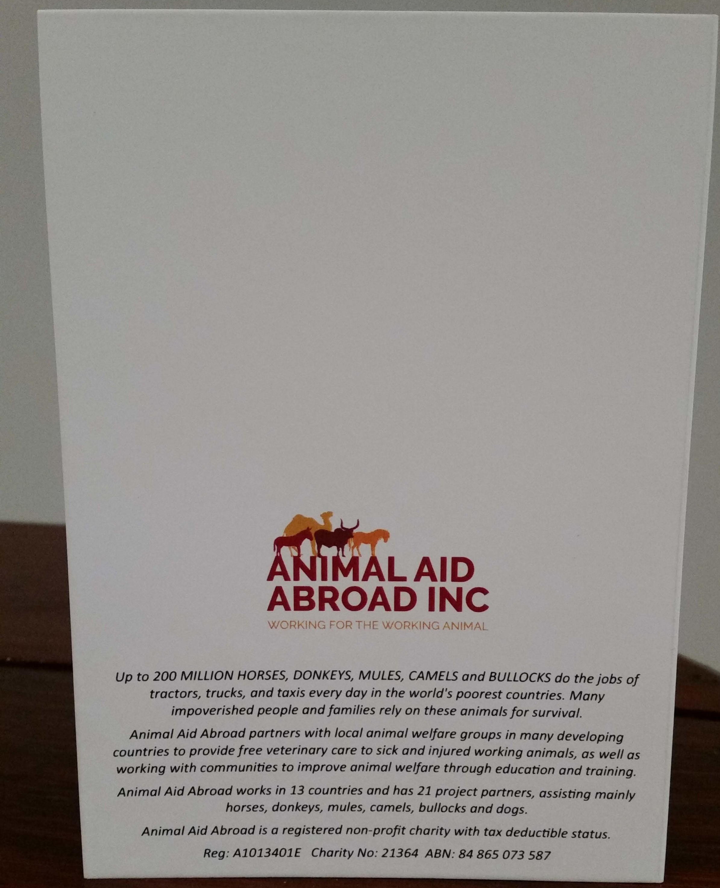 2018 camel card - back.jpg