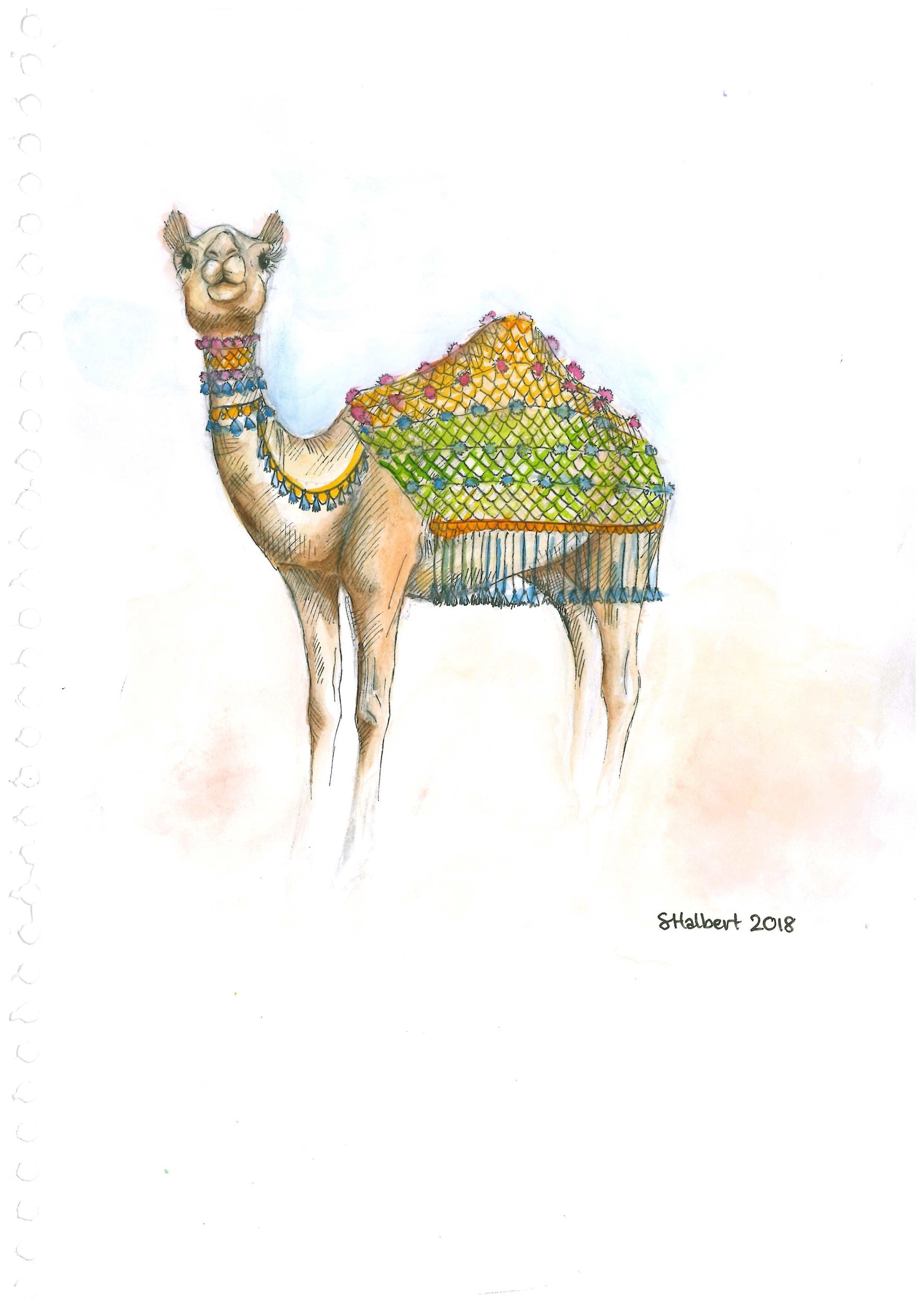 2018 new card camel - original scanned.jpg