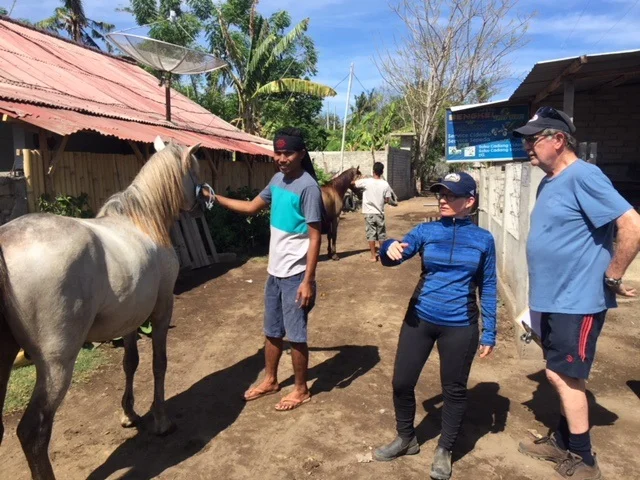 Nov 2018 Clinic 1.jpg