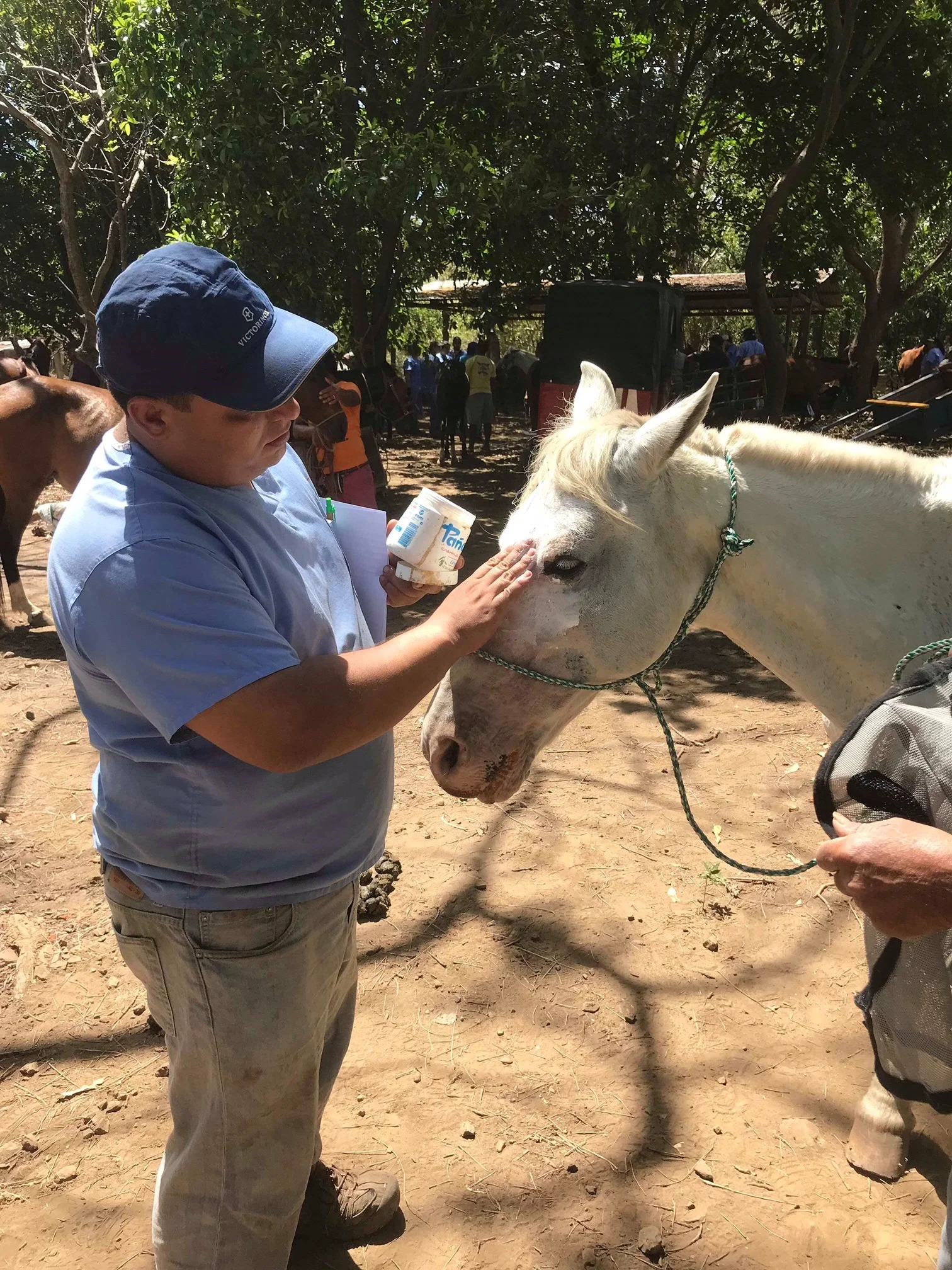 Dr Lester and injured horse.jpg
