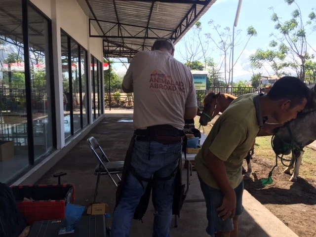 Nov 2018 Clinic 2.jpg