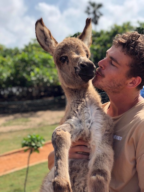 Will and baby foal.jpeg