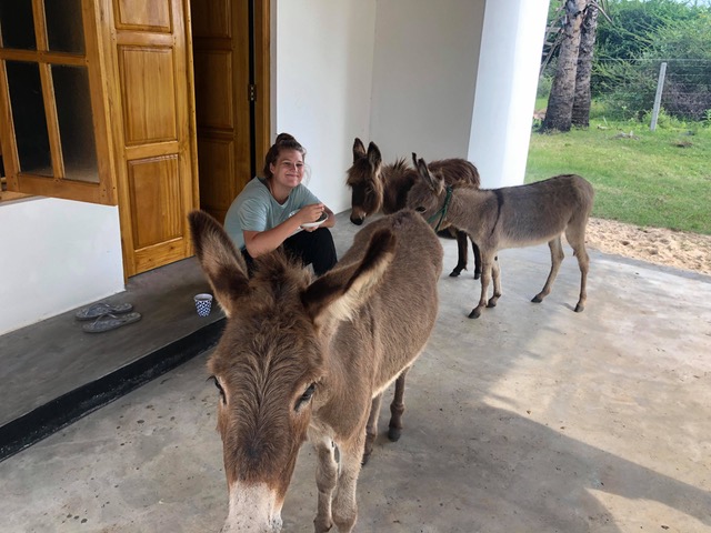 Megan with donkeys.jpeg