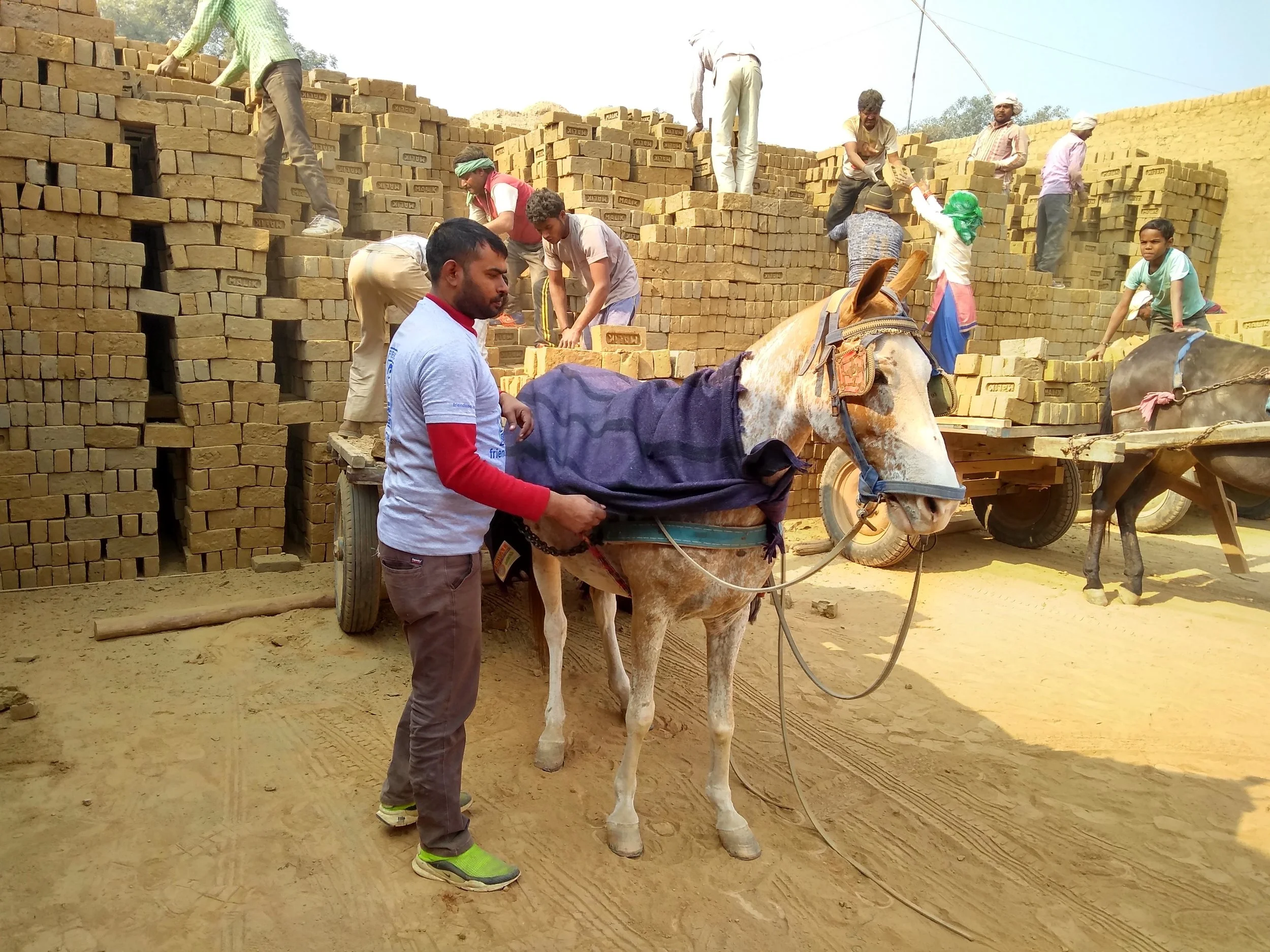 Blanket and Keen distribution January 2019 4.jpg