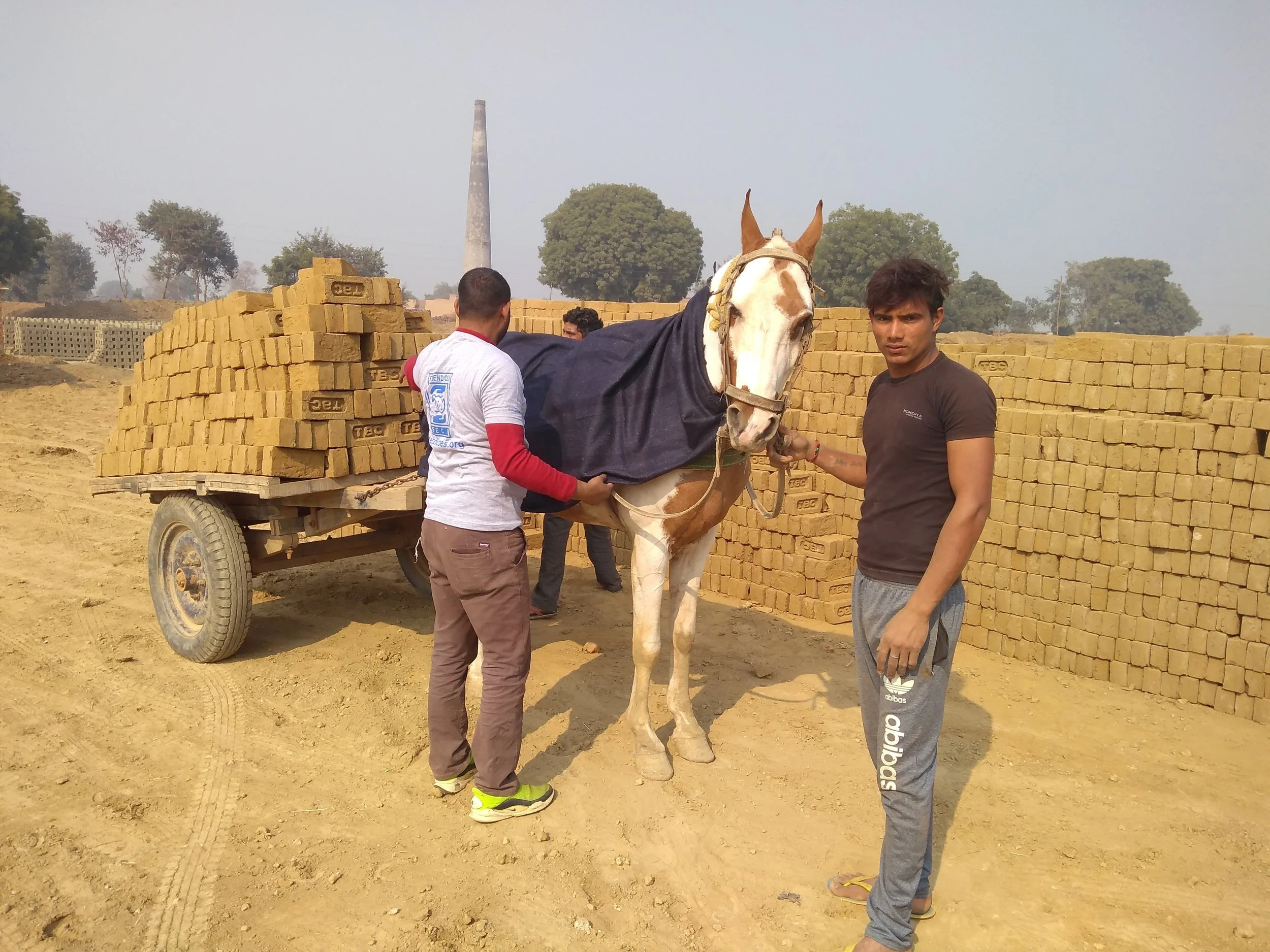 Blanket and Keen distribution January 2019 6.jpg