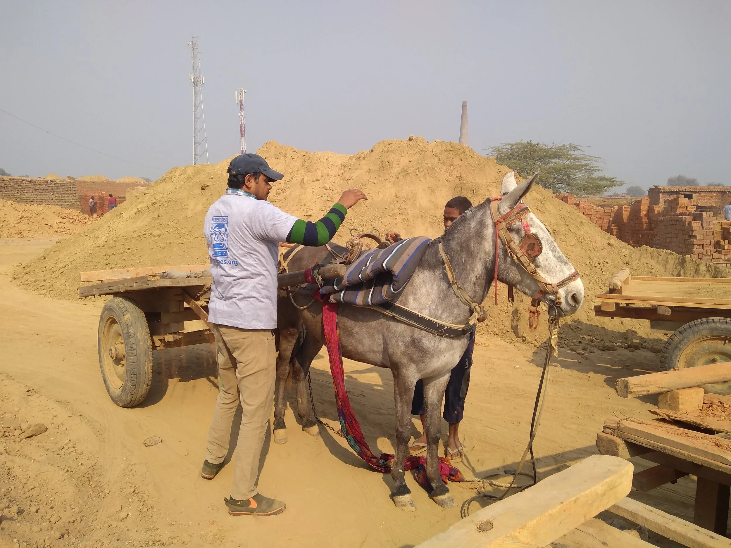 Blanket and Keen distribution January 2019 9.jpg