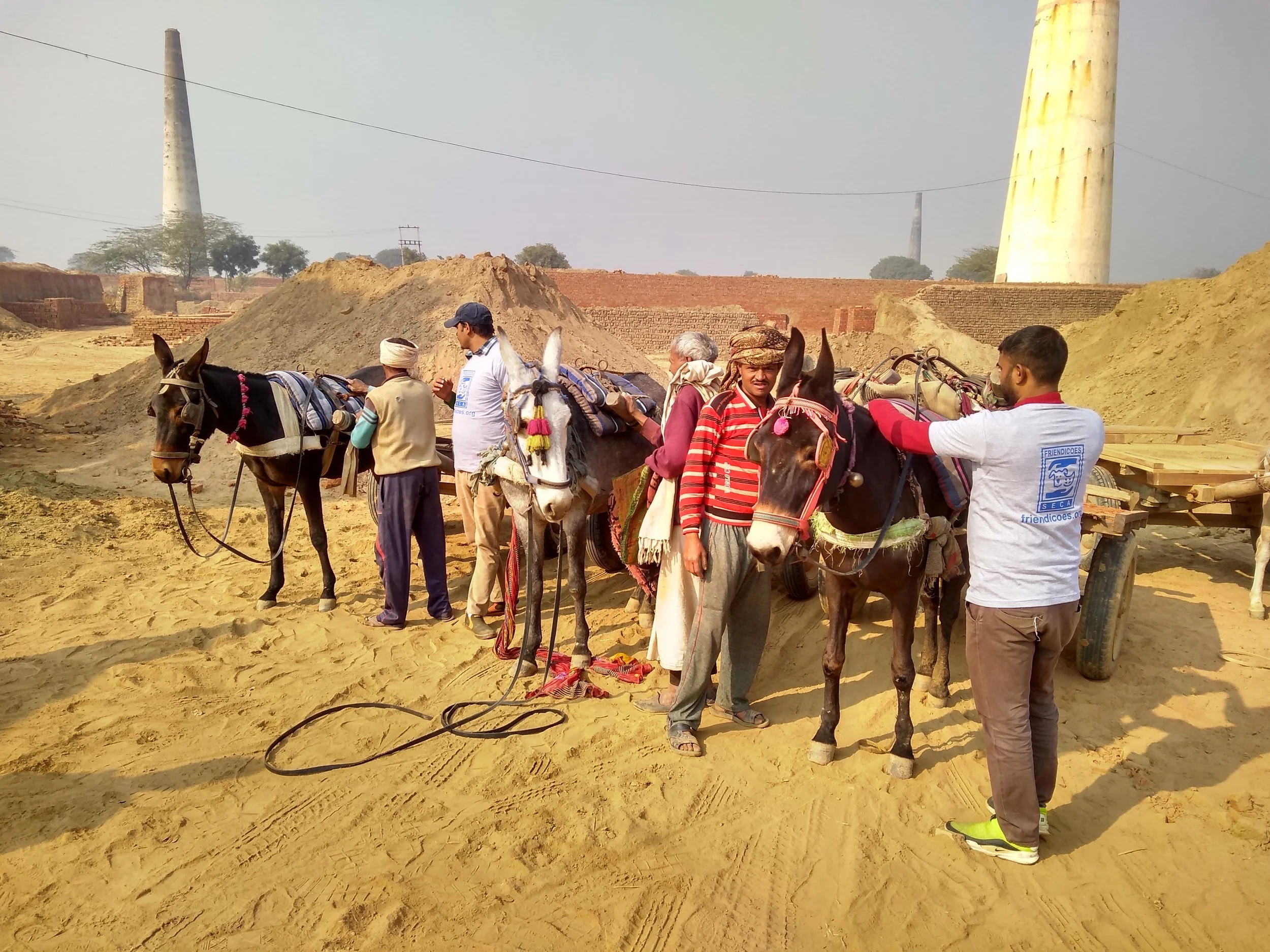 Blanket and Keen distribution January 2019 5.jpg