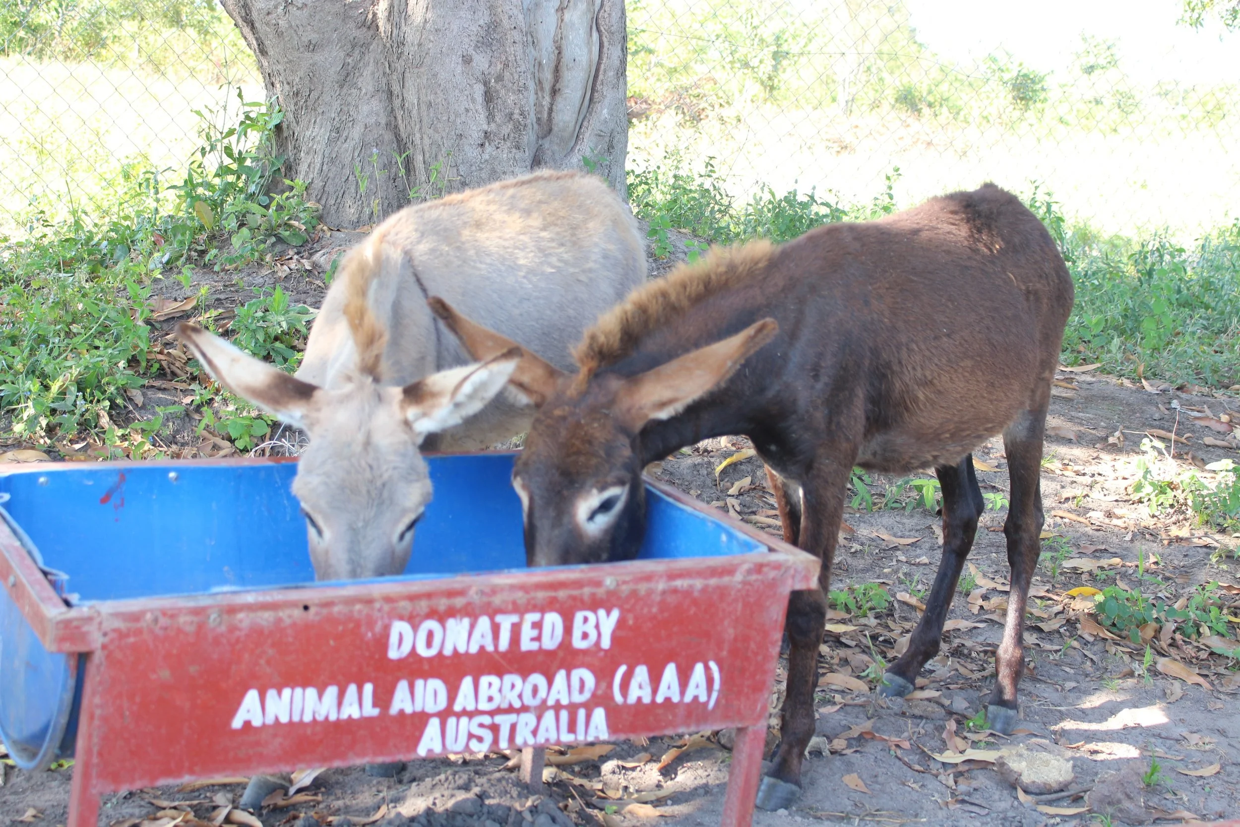 May 2019 troughs.jpg