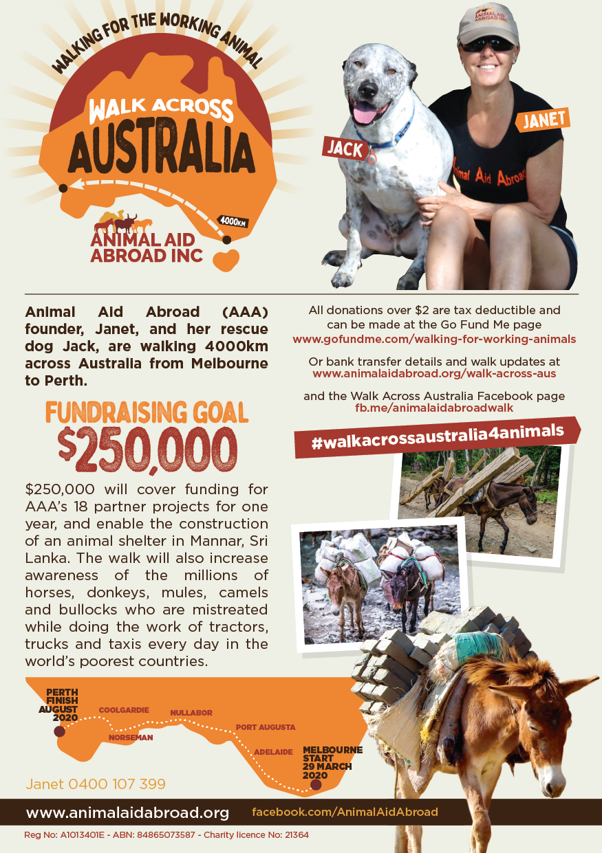 Walk Across Australia for Working Animals! — Animal Aid Abroad
