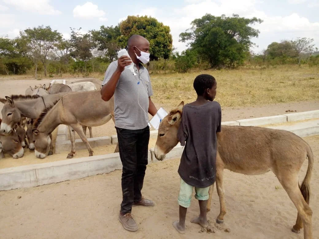 educating donkey riders.jpg