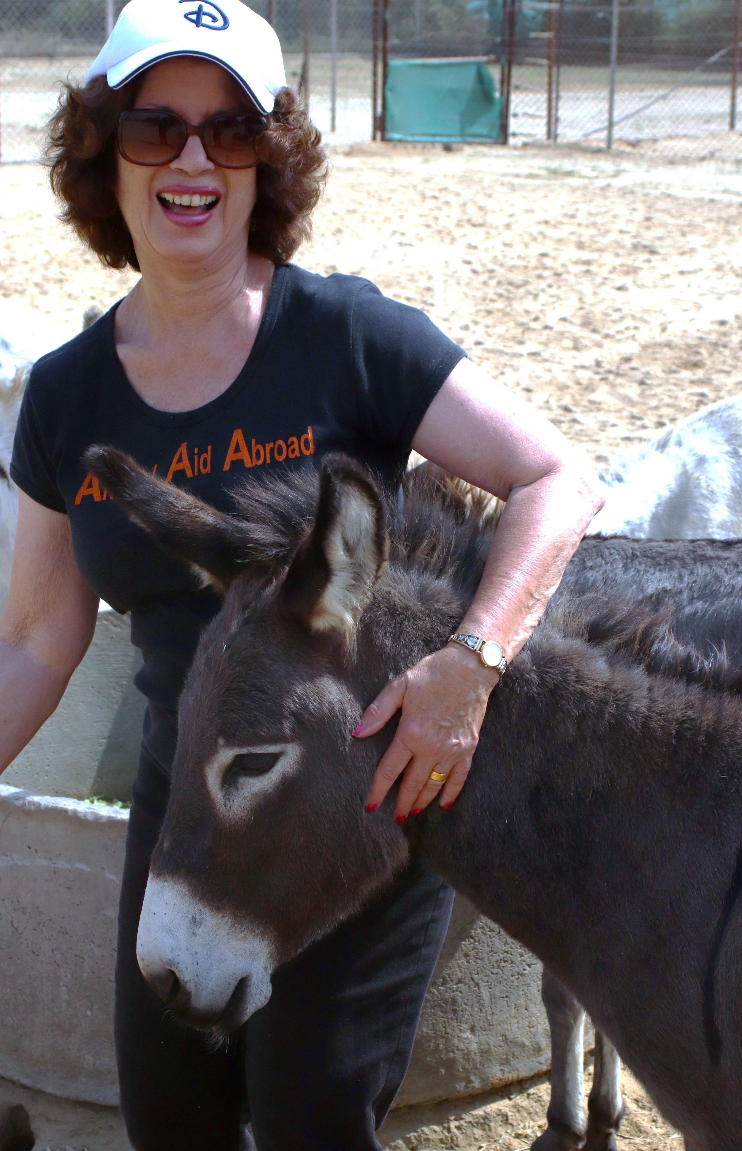 Let’s pay tribute to all donkeys ❤️ this World Donkey Day May 8