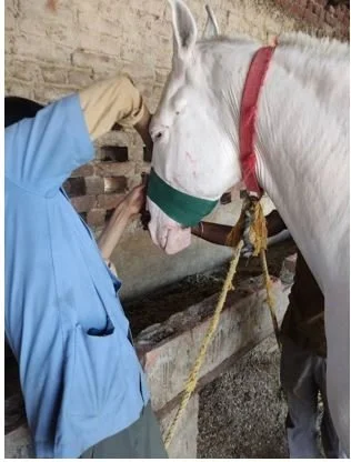 Regular cleaning of wound.JPG