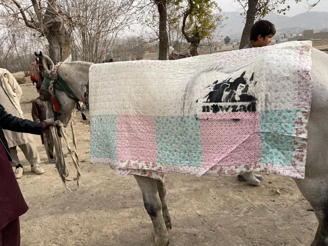 Nowzad - Nov Update.pdf-image-008.jpg
