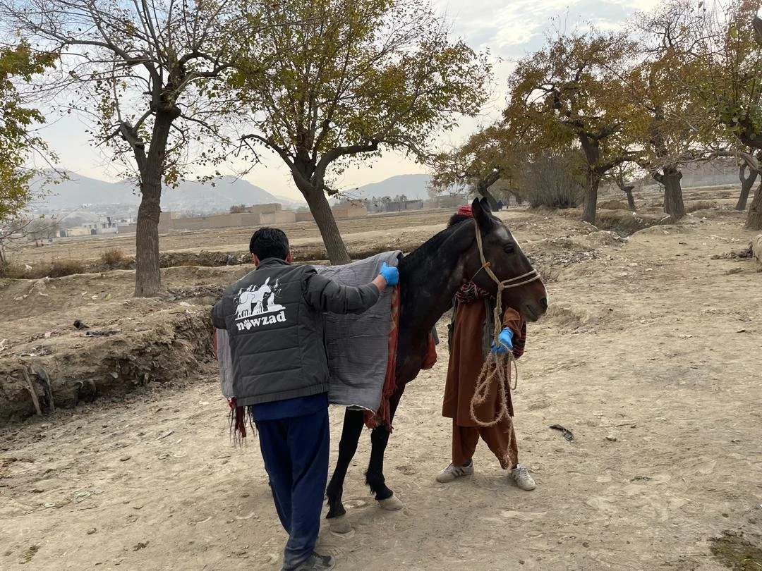 Nowzad - Nov Update.pdf-image-009.jpg
