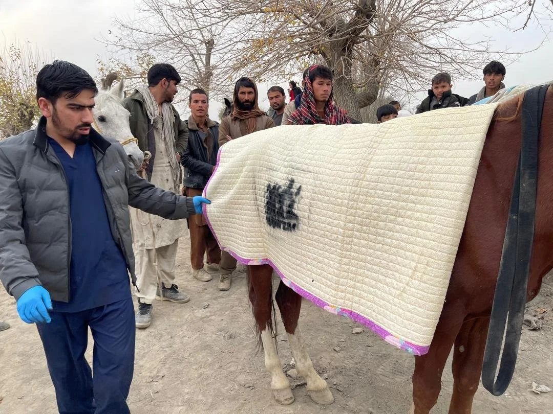 Nowzad - Nov Update.pdf-image-010.jpg