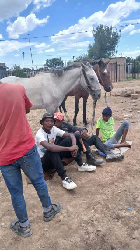 horse 19.png