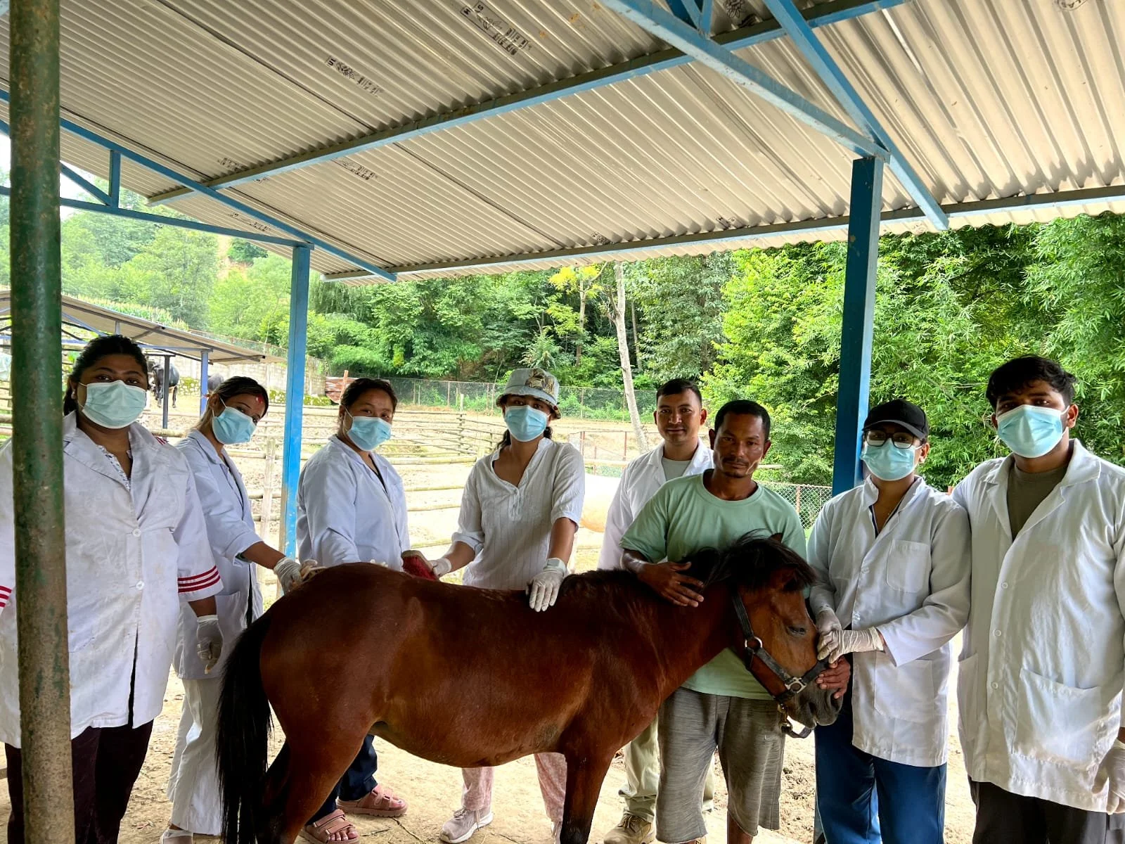 Training the Next Generation of Equine Vets in Nepal