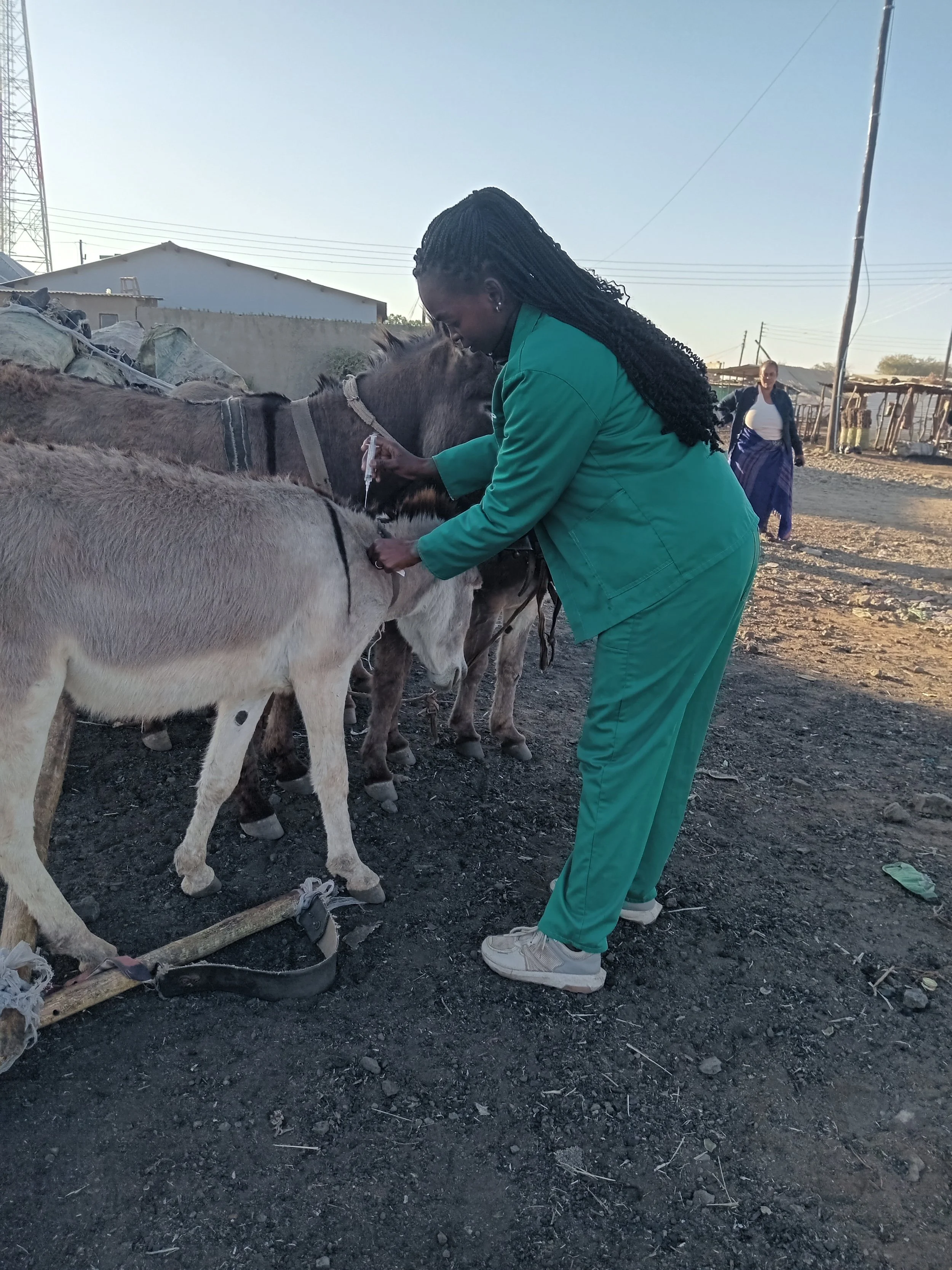 Injectable deworming at Libuyu_.jpg