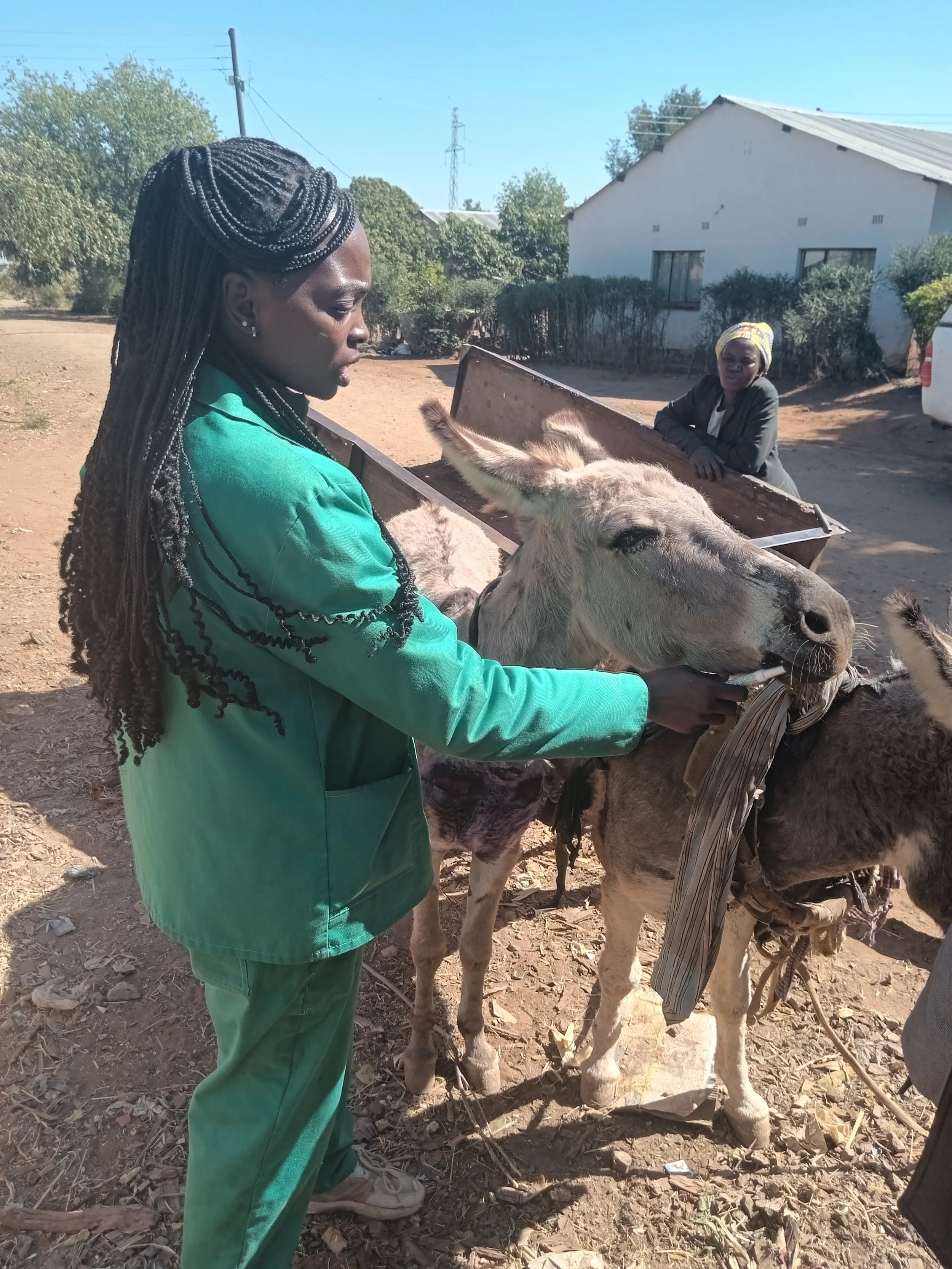 Oral deworming at Libuyu_.jpg