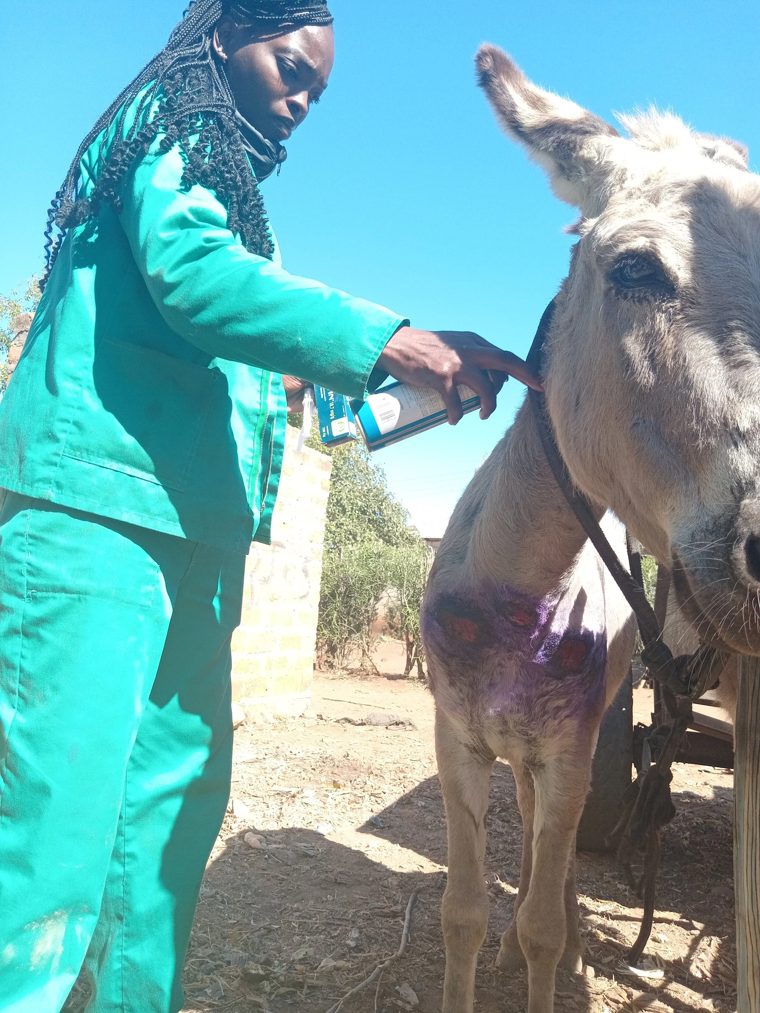 Wound treatment at Libuyu_.jpg