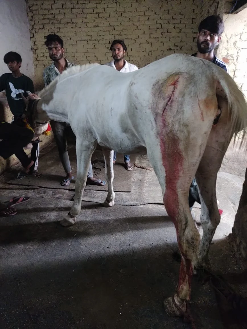 road accident 2.jpeg
