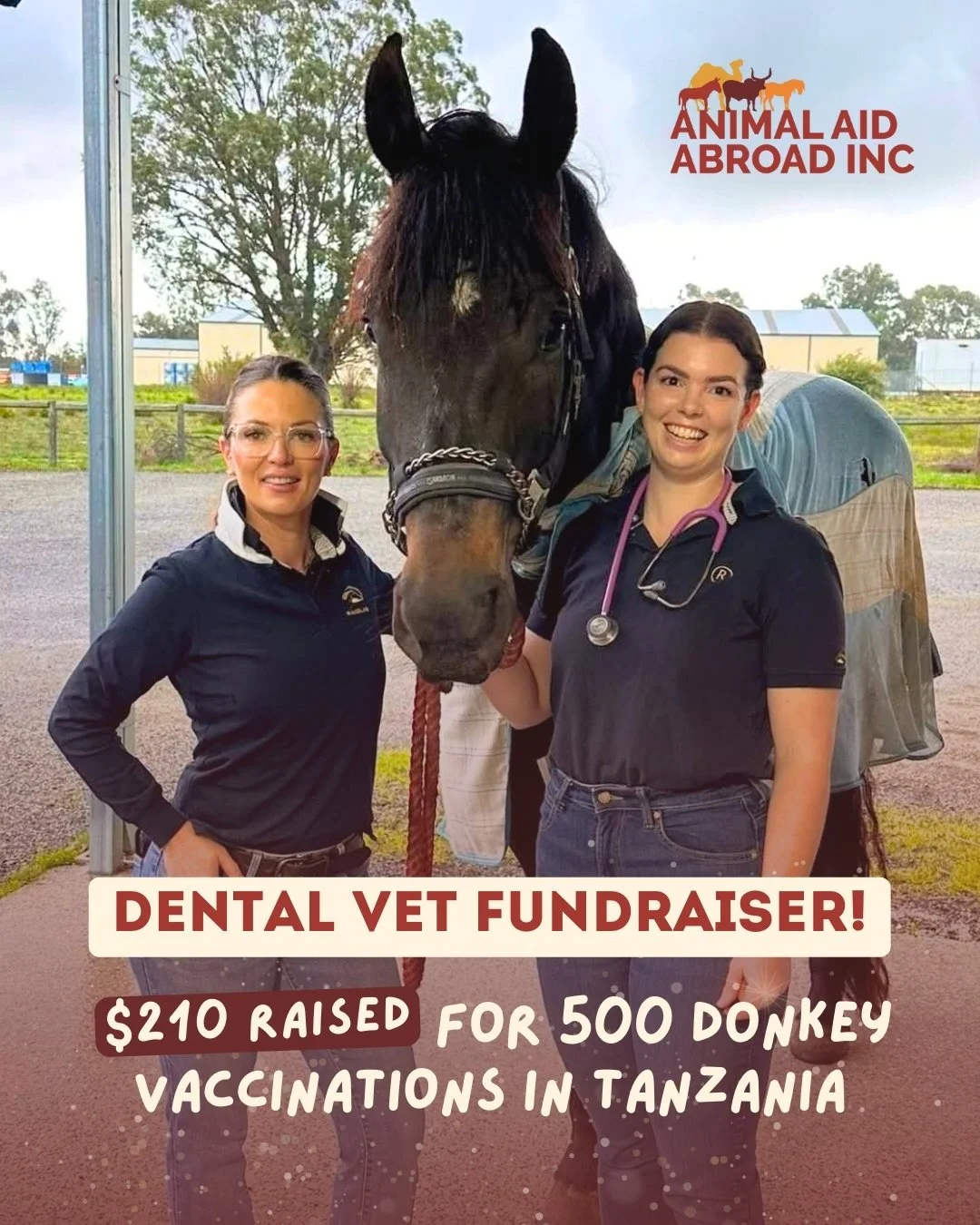 Special Dental Vet Fundraiser to Help Donkeys in Tanzania