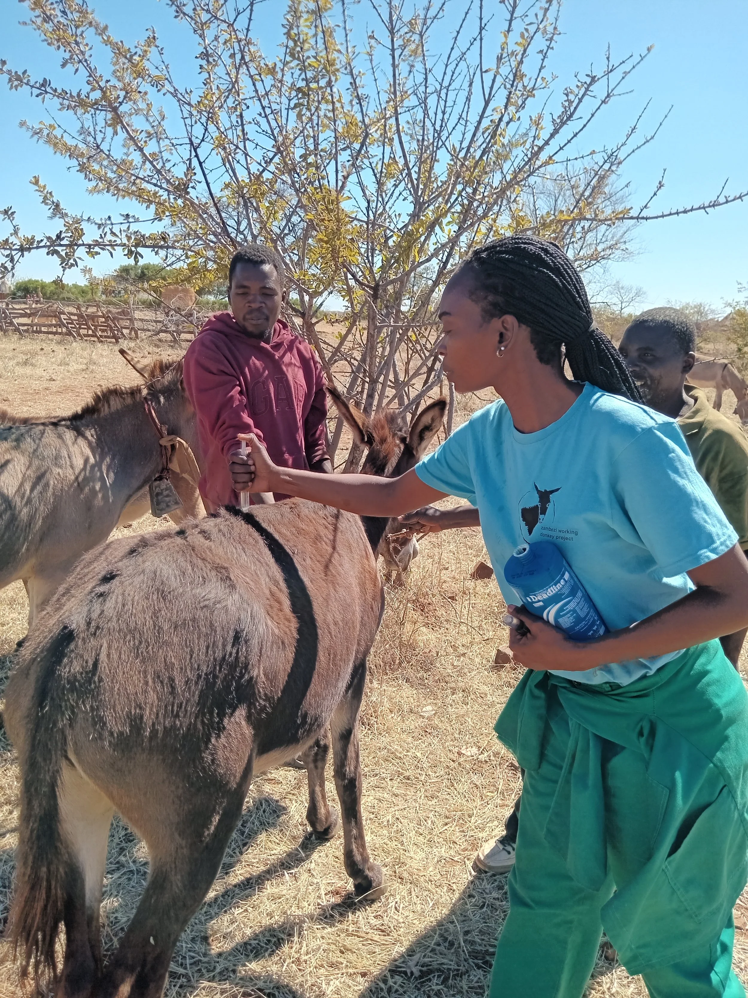 Mabonga village mobile clinic - dipping .jpg