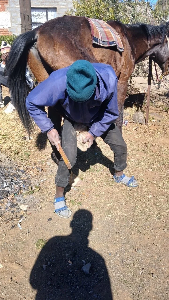 hoof 3.jpeg