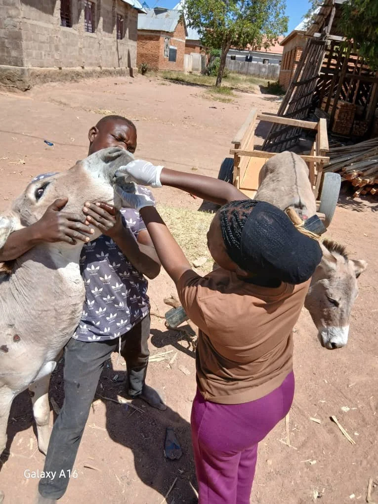 32. deworming.jpeg
