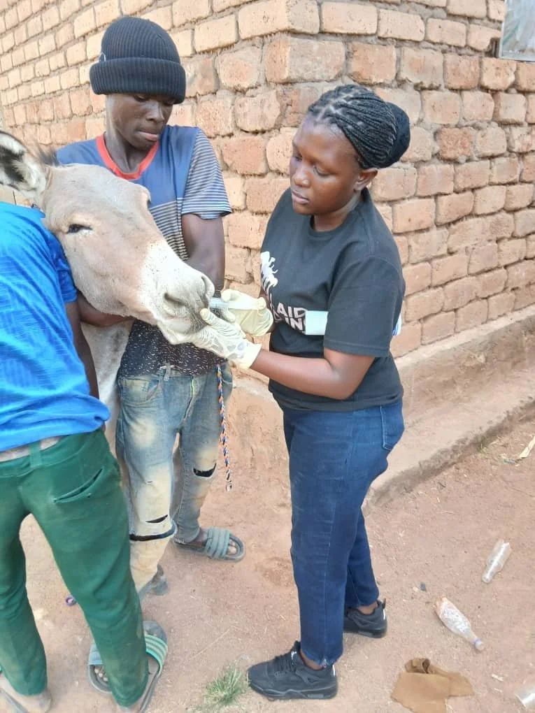 33.deworming.jpeg