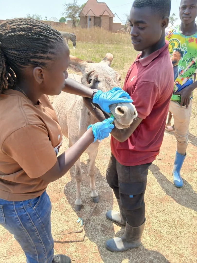 34.deworming.jpeg