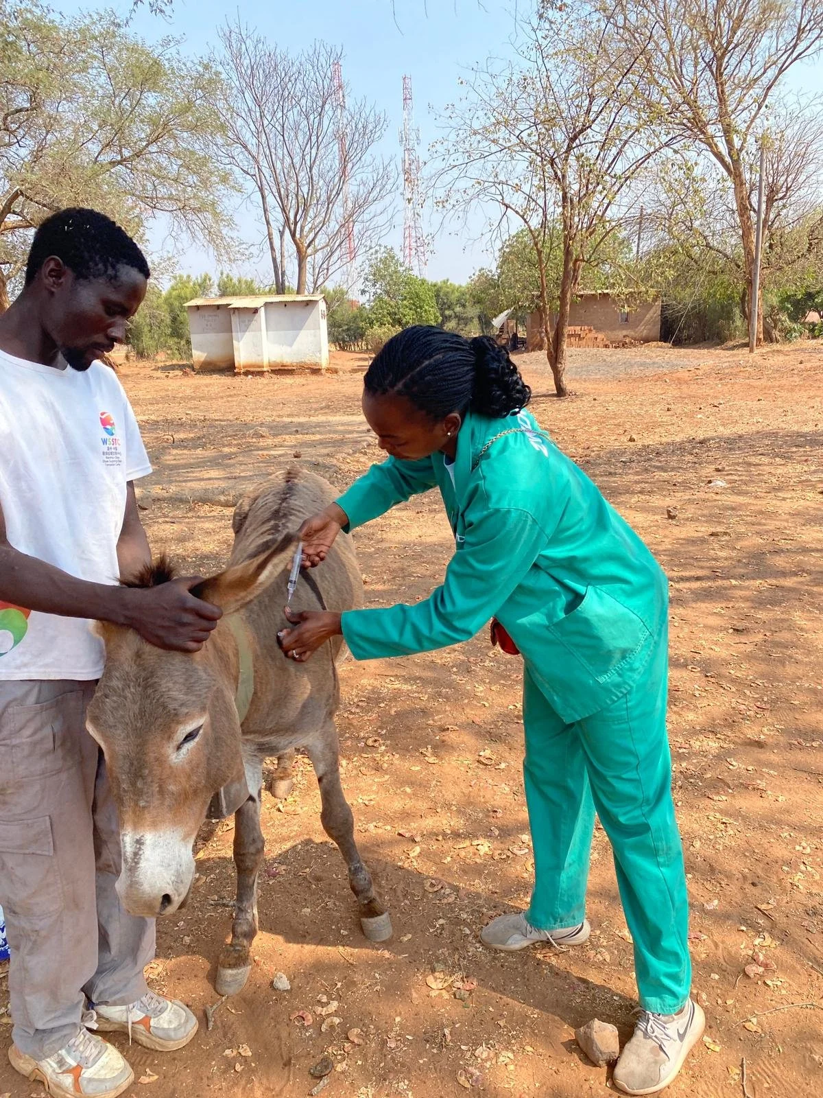 Deworming at Libuyu market .jpg