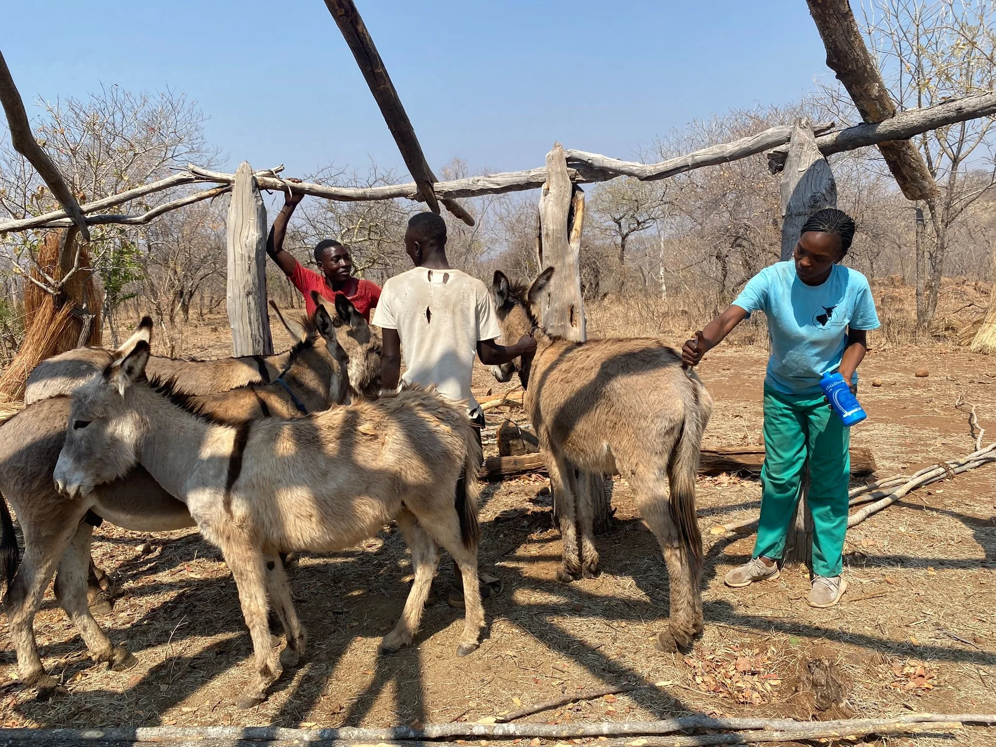 Dipping at Libala Mobile Clinic .jpg