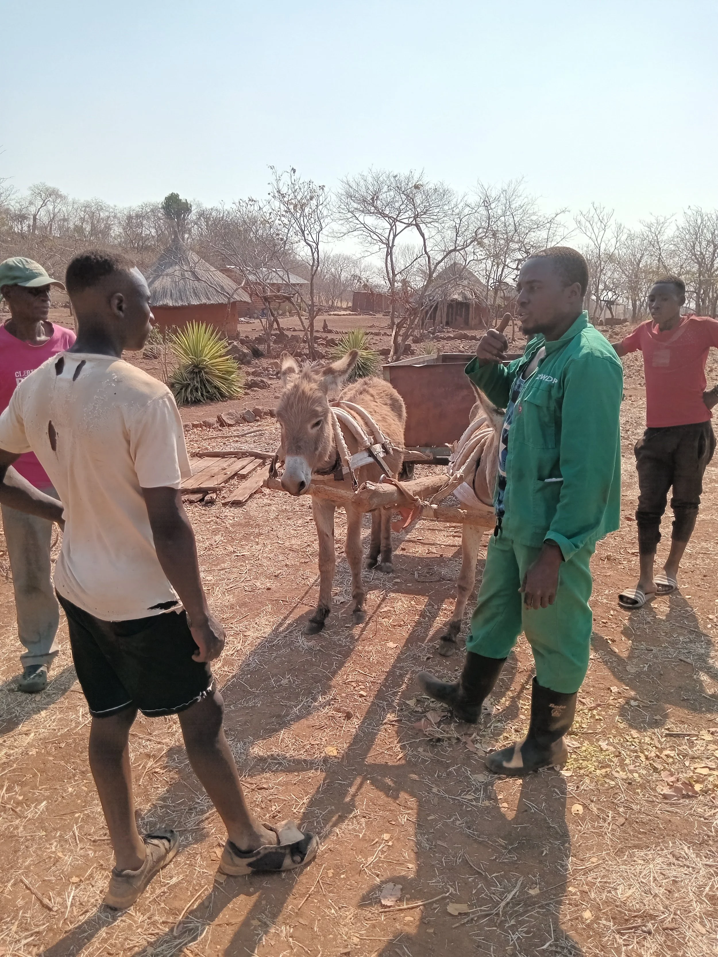 Sensitization of donkey owner at Libala Mobile Clinic .jpg