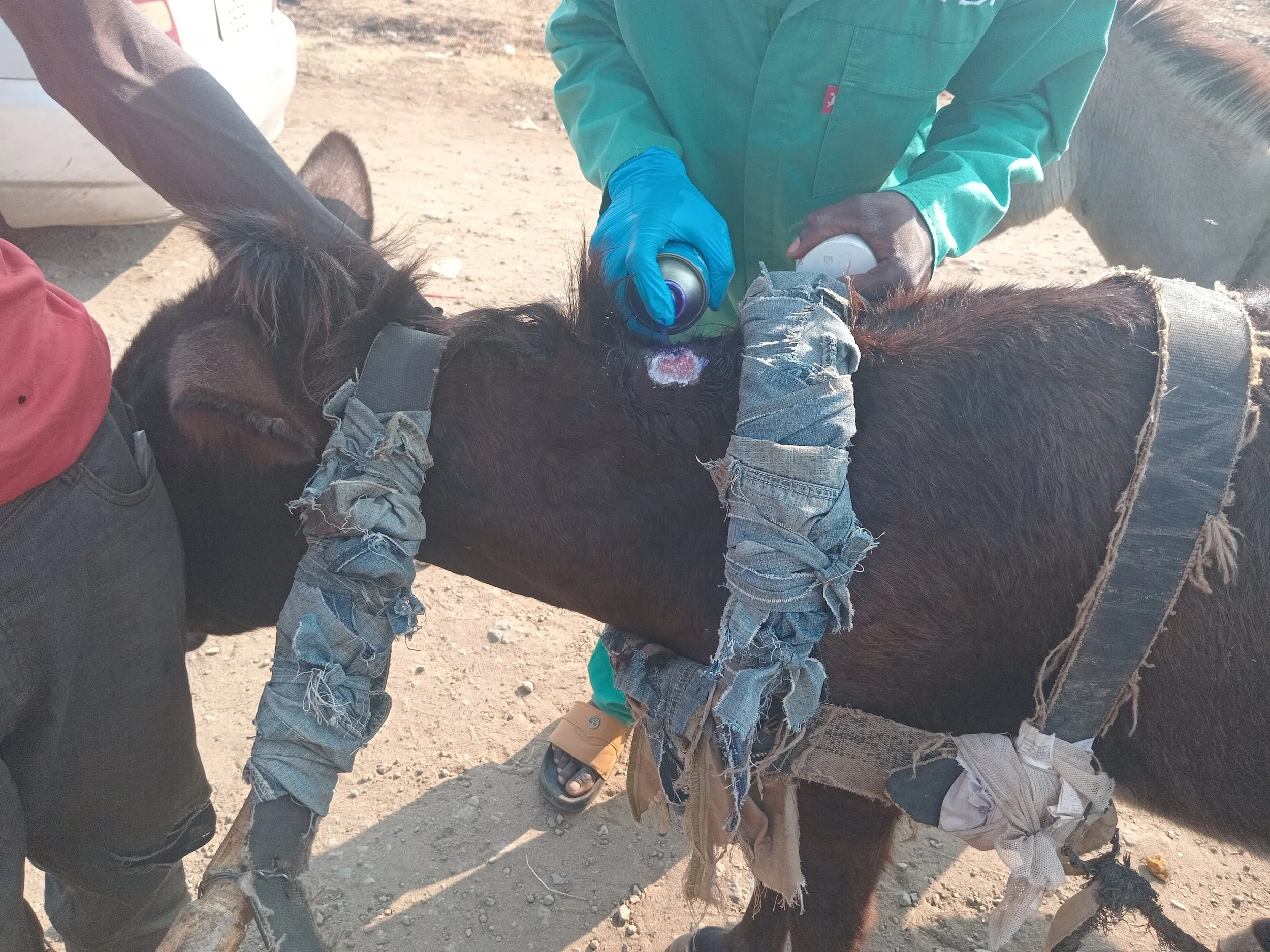 Wound treatment at Libuyu Market .jpg