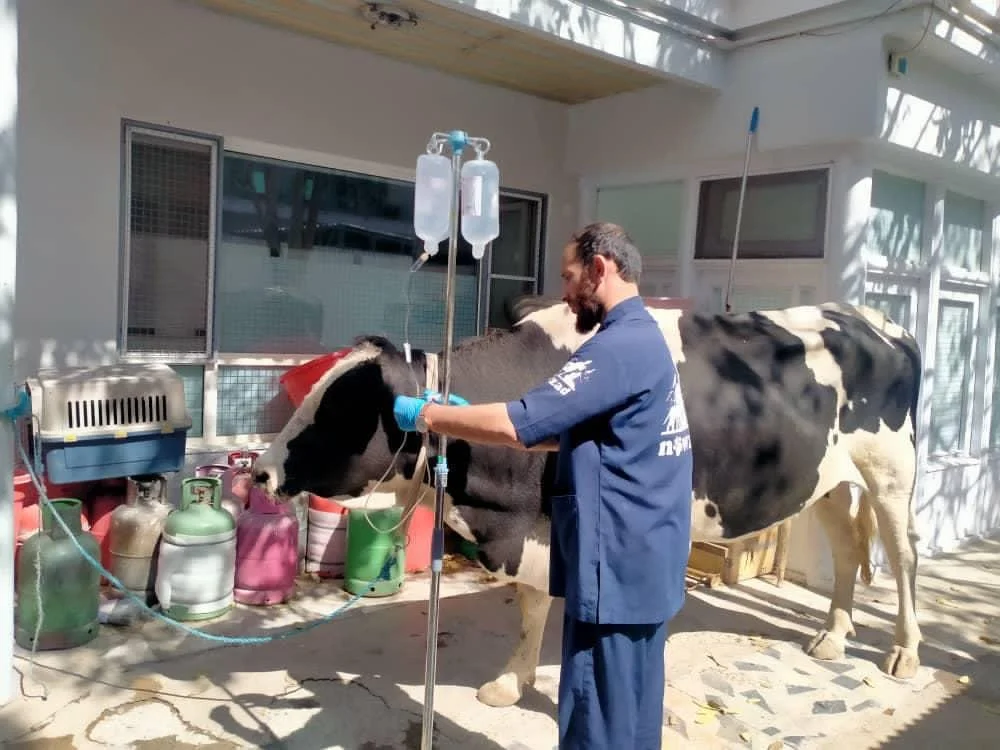 WhatsApp Image 2025-11-01 at 08.02.53_33e24bb2.jpg