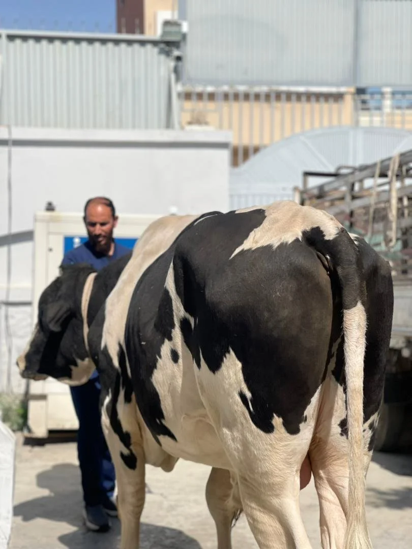 WhatsApp Image 2025-11-01 at 08.02.53_f267ea17.jpg