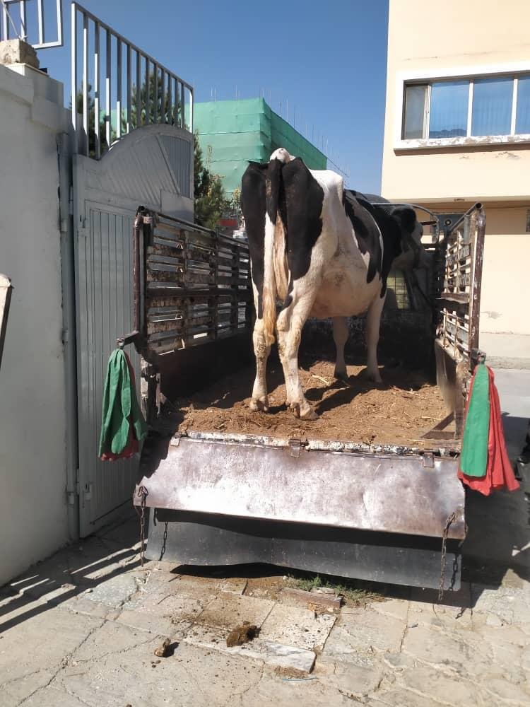 WhatsApp Image 2025-11-01 at 08.55.51_4e9541fe.jpg