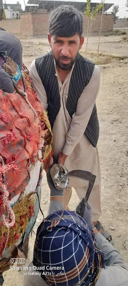 WhatsApp Image 2025-11-01 at 08.49.44_4cf78e10.jpg