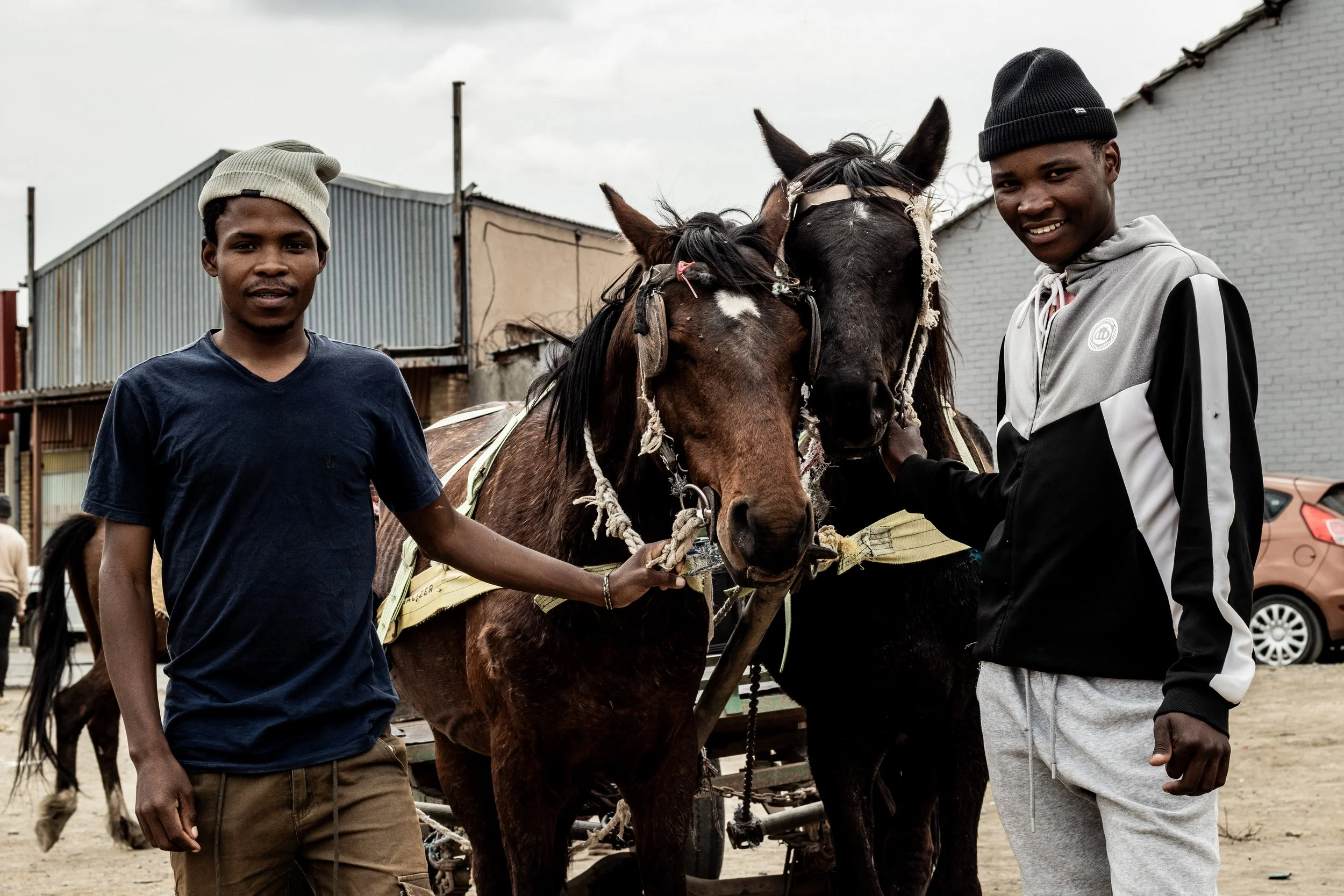 Offering Care, Compassion and Respect for Working Animals in South Africa