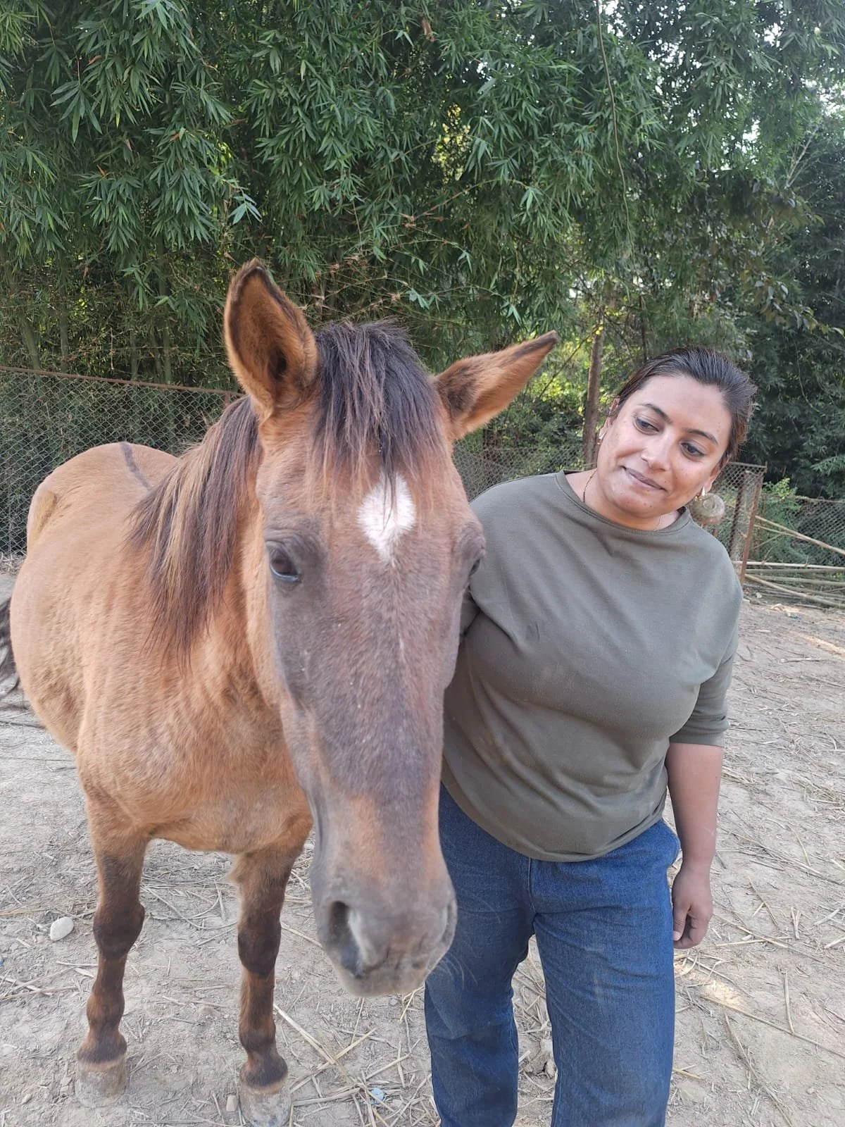 Winter in Nepal Brings Peace &amp; Quiet Comfort for Rescued Animals